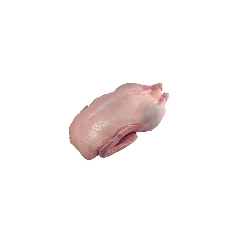 Kaczka wiejska-Brandenburgia ok. 1,8-2,2 kg/szt. Kaczka wiejska-Brandenburgia ok. 1,8-2,2 kg/szt.