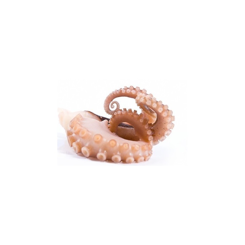 Ośmiornica Pulpo - oczyszczona, 2.0-3.0 kg/szt. Ośmiornica Pulpo - oczyszczona, 2.0-3.0 kg/szt.